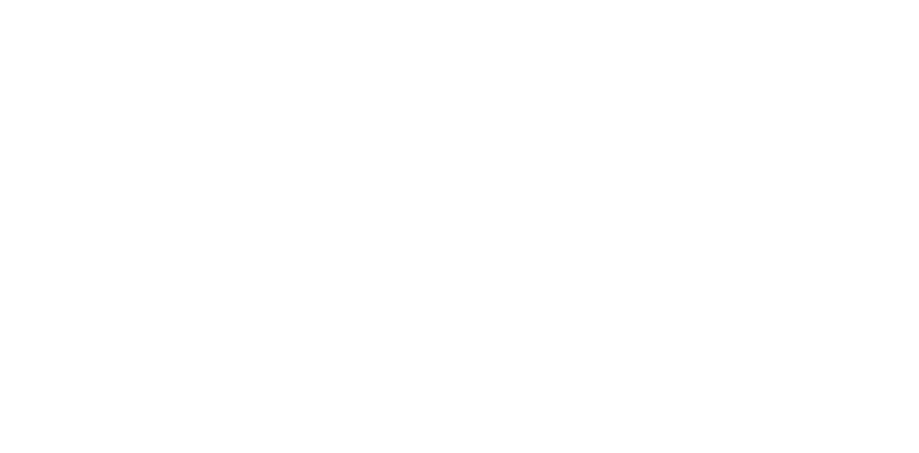 VNG Carrière